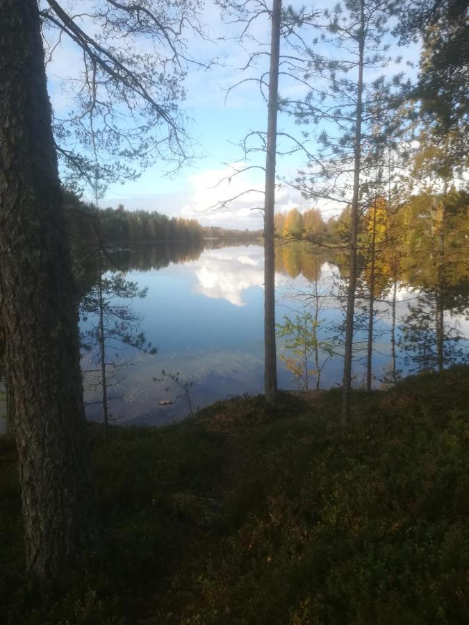 Tiirantuvat Villa Juankoski Kültér fotó